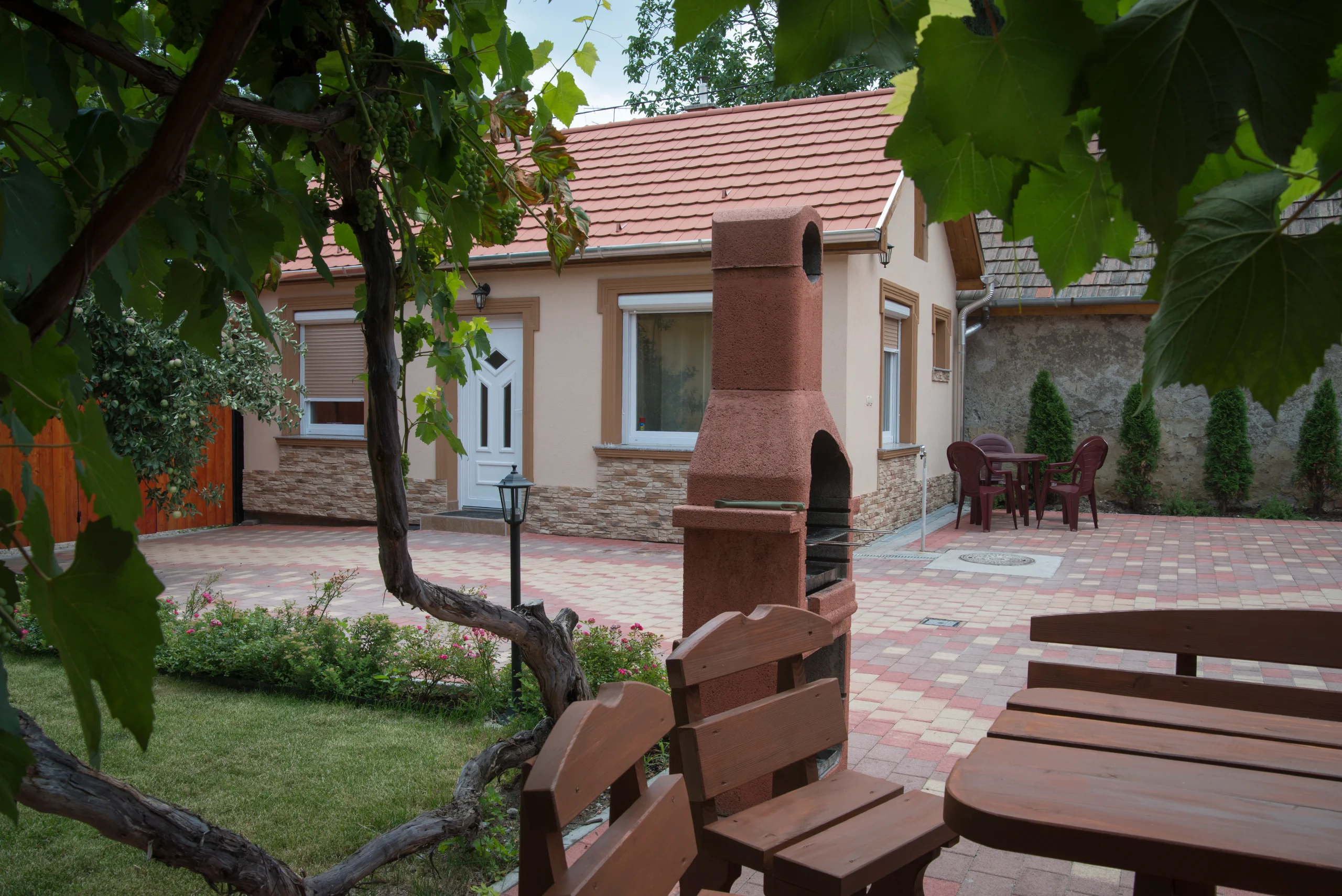 BBQ area with grape vines